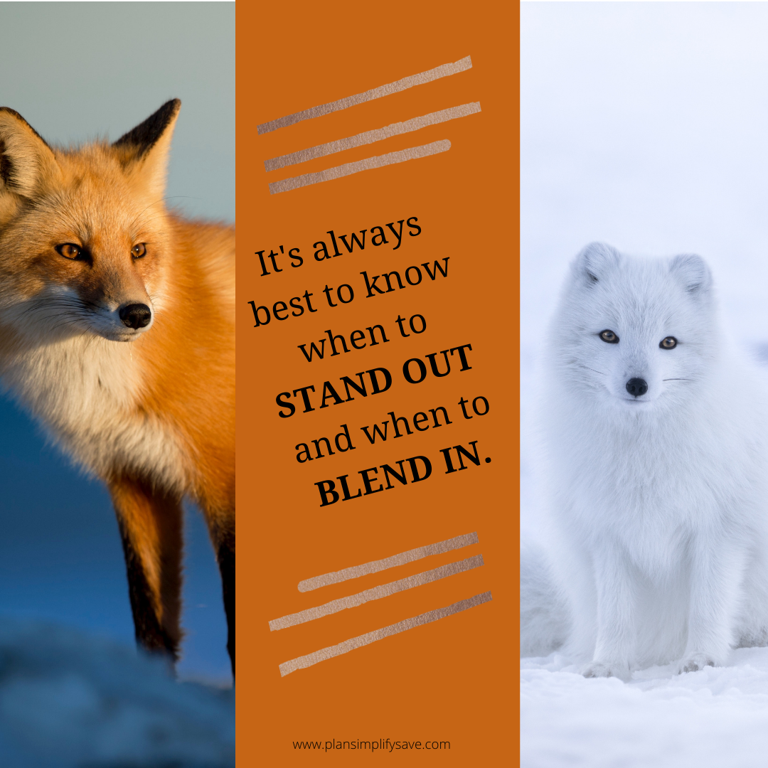 Stand Out or Blend In?